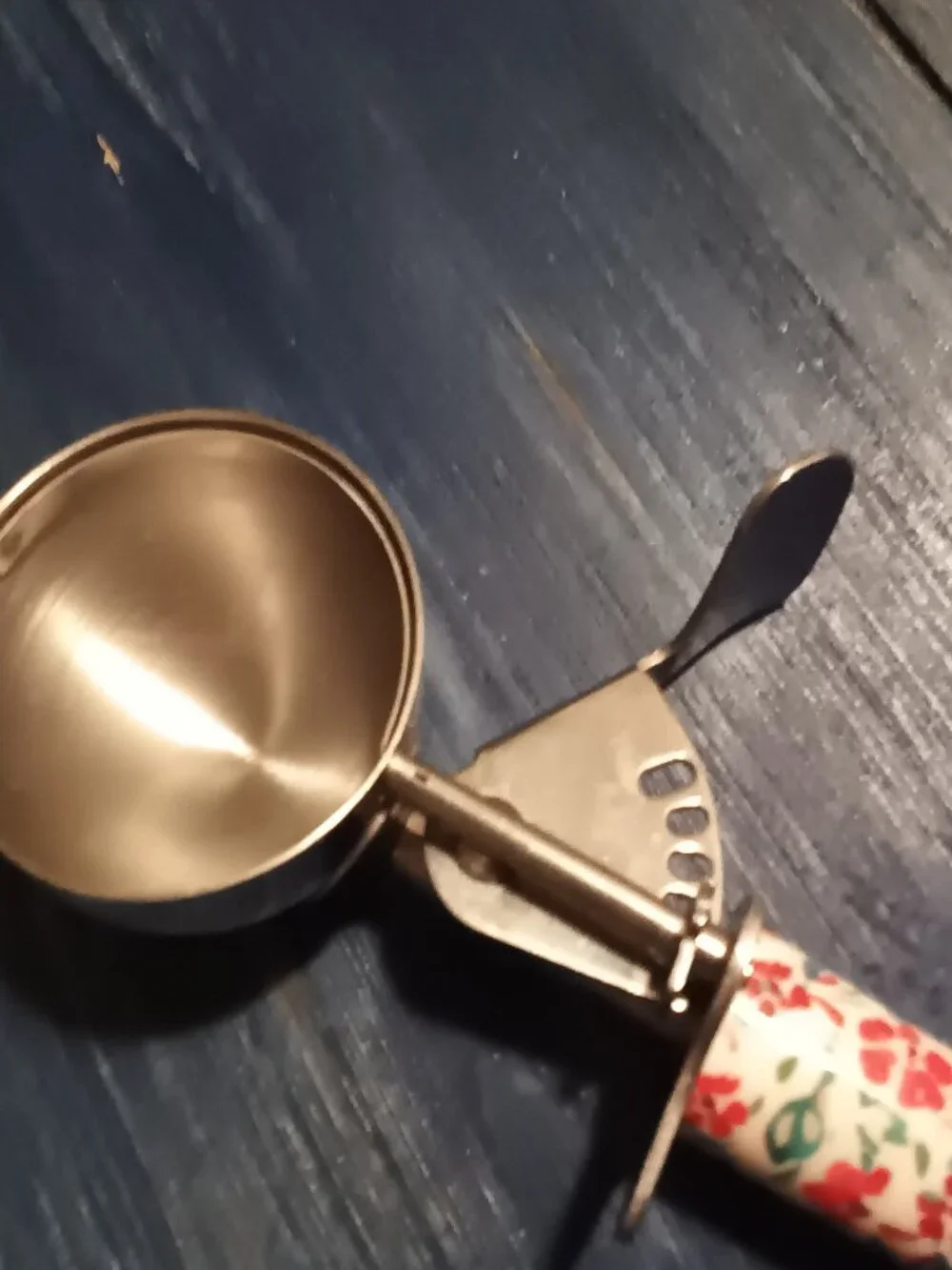 Pioneer Woman floral print ice cream scoop